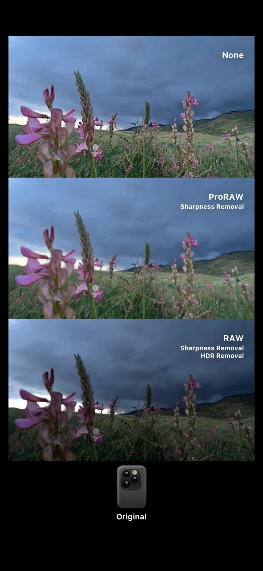 Dazz Cam: porovnání RAW a běžného snímku