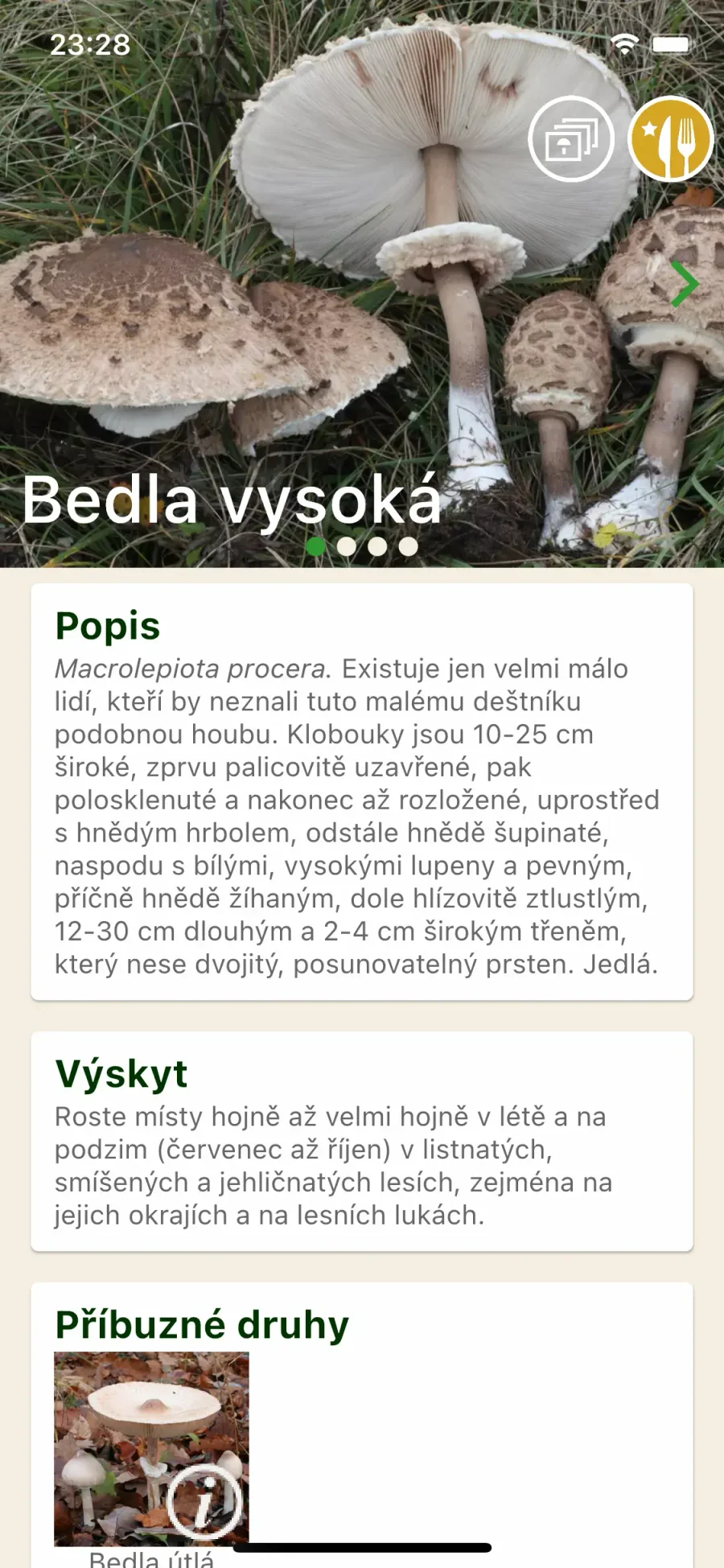 Aplikace na houby: popis houby v atlasu