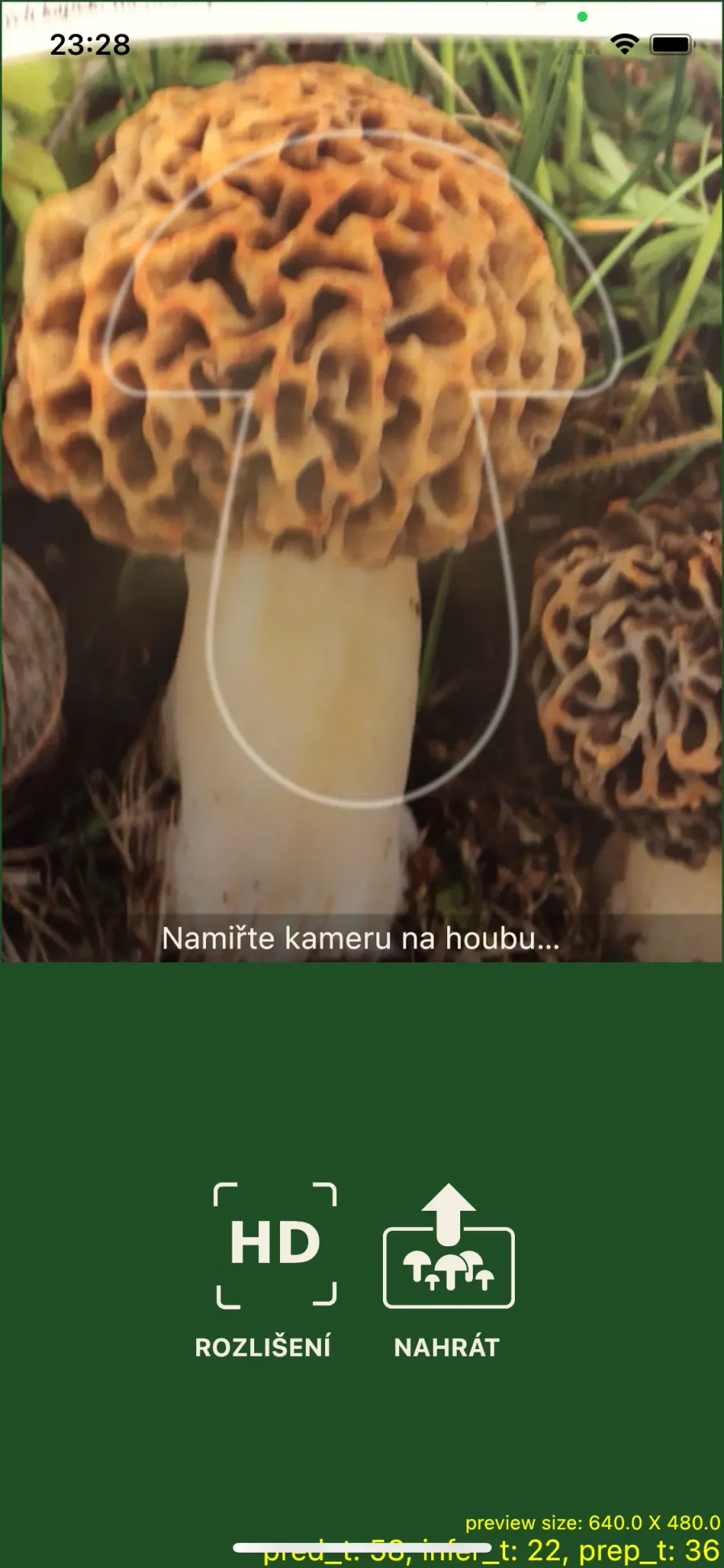 Aplikace na houby: rozpoznávání houby fotoaparátem