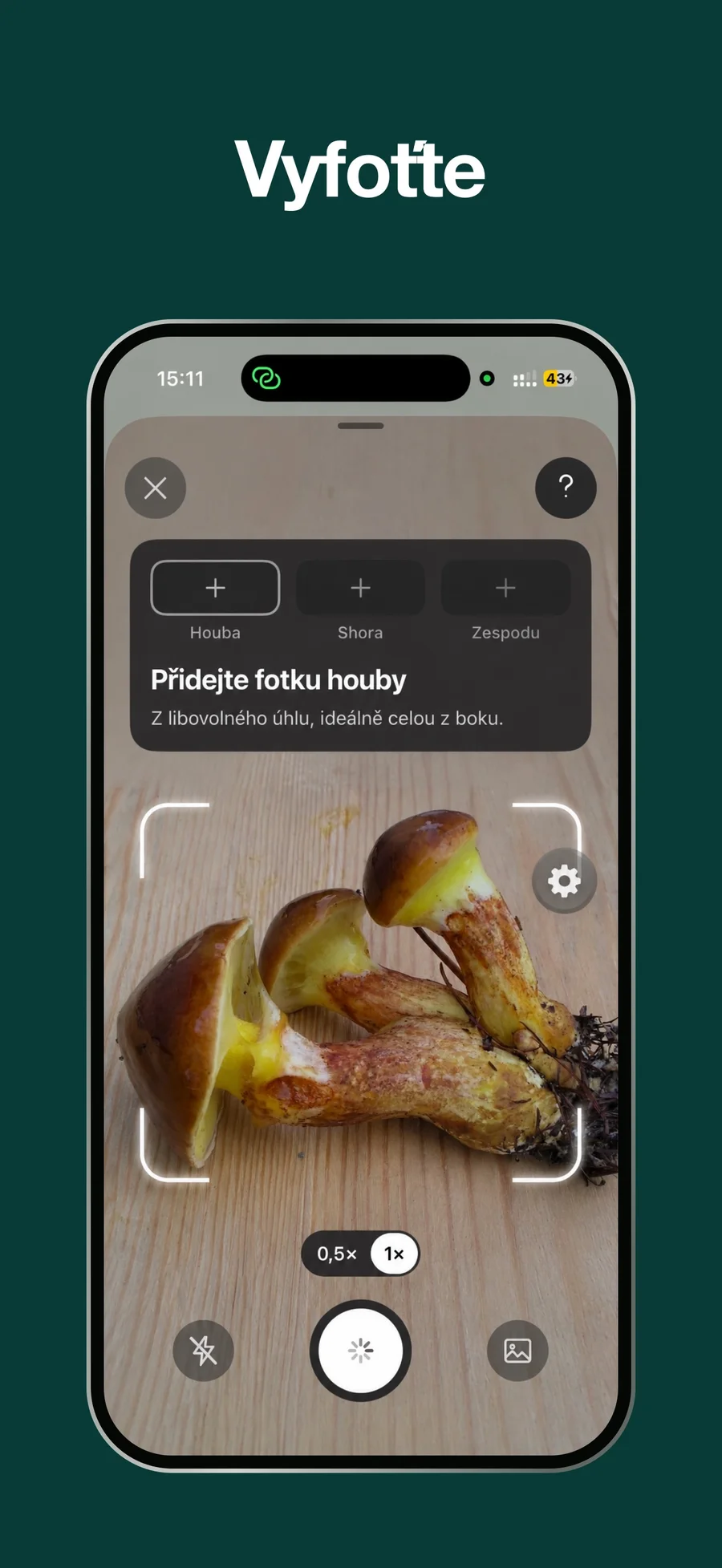 Houby AI: fotografování z více úhlů