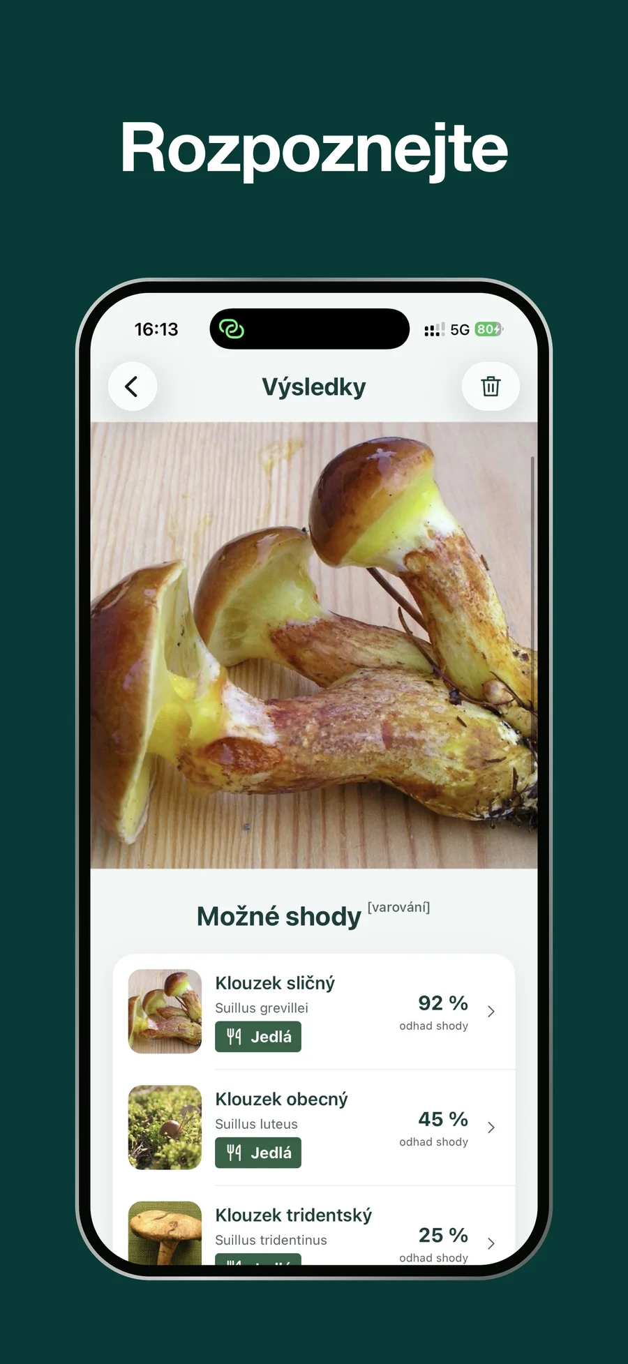 Houby AI: návrhy rozpoznaných druhů
