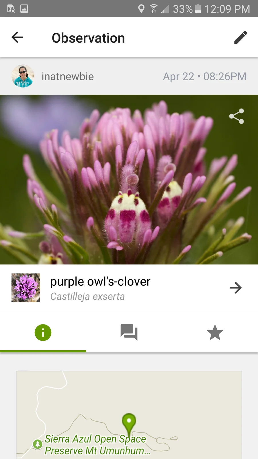iNaturalist: detail přírodního pozorování