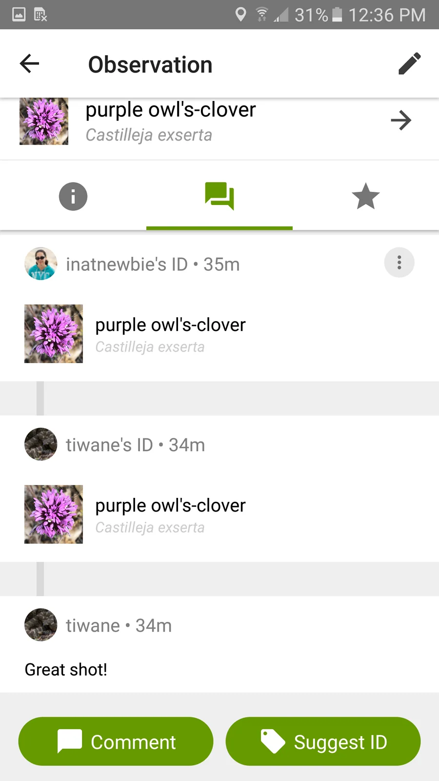 iNaturalist: komentáře a komunitní určení