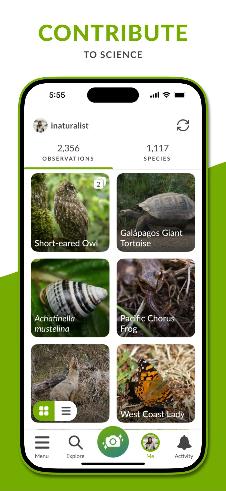 iNaturalist: přehled vlastních pozorování