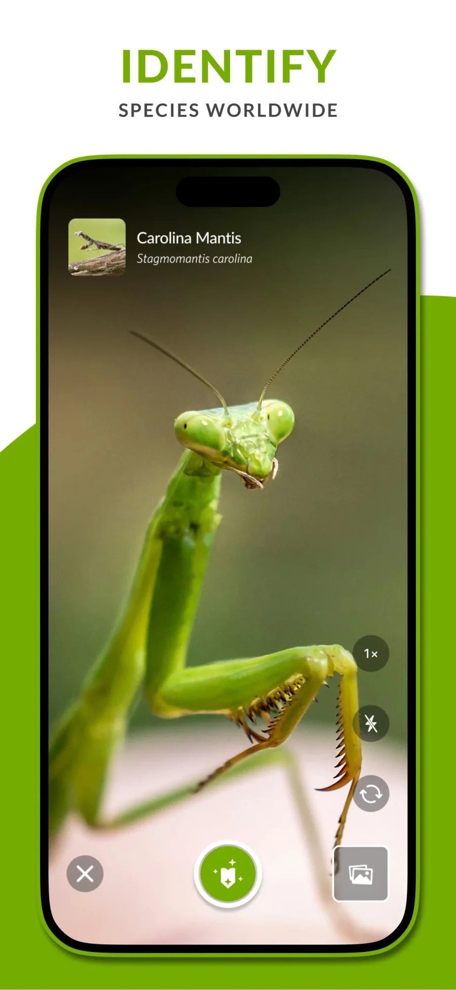 iNaturalist: rozpoznávání organismu fotoaparátem