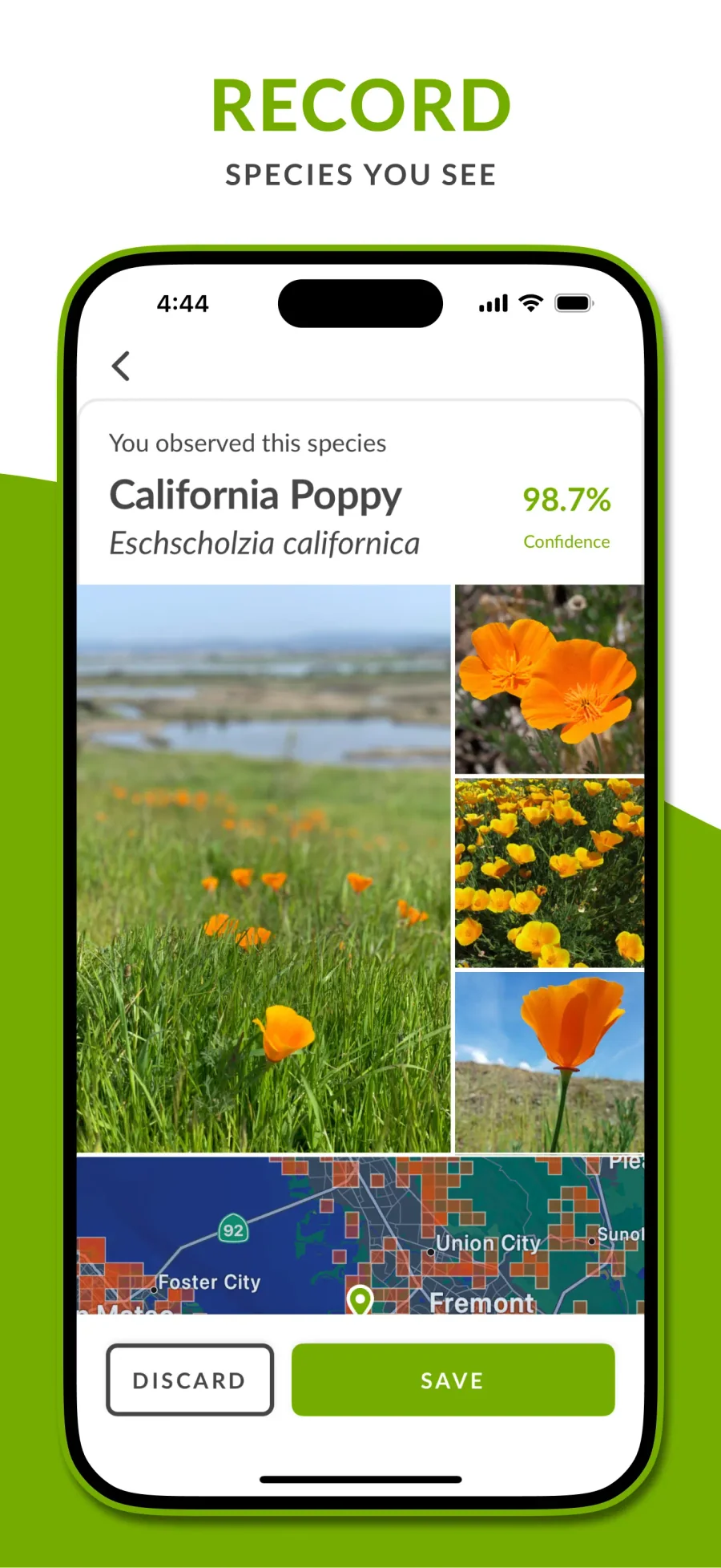 iNaturalist: uložení pozorování