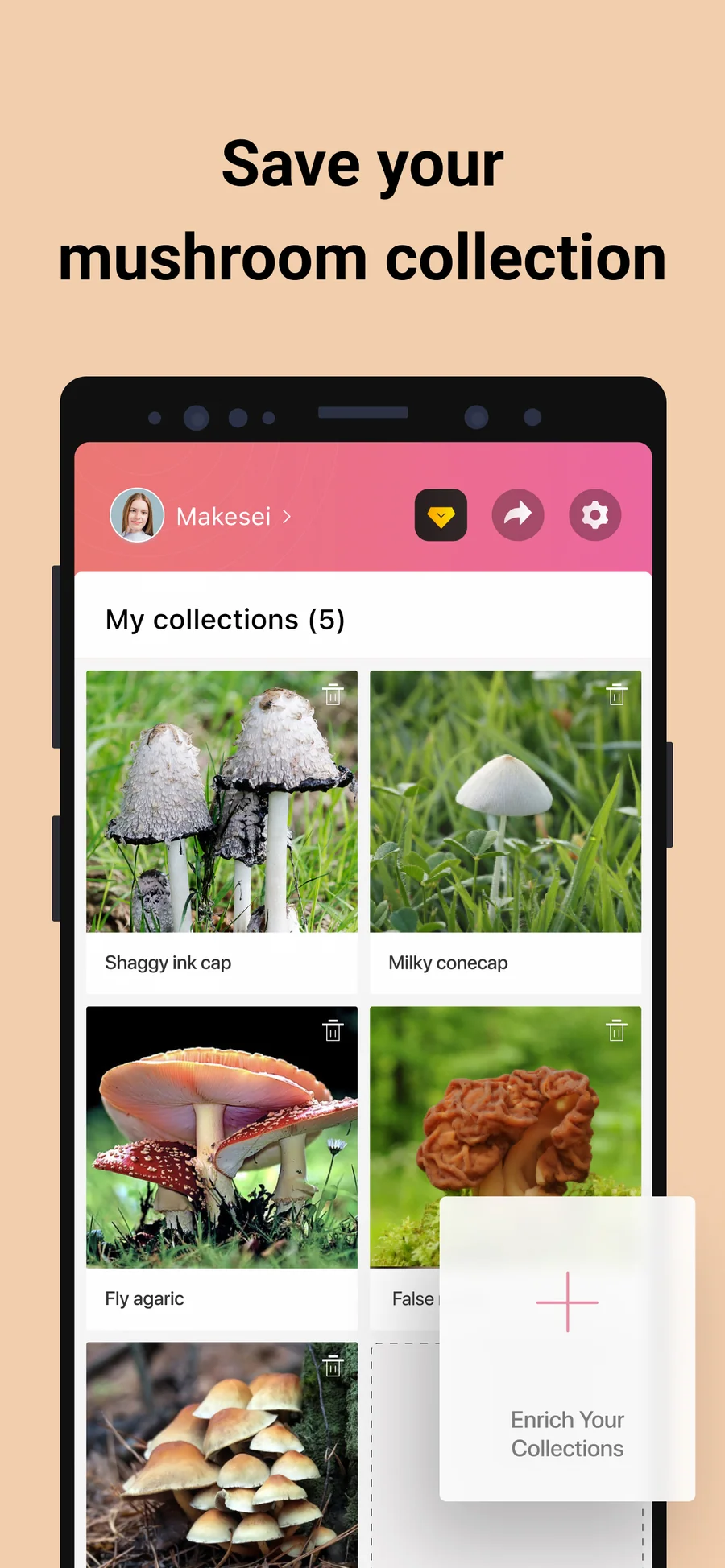 Picture Mushroom: sbírka uložených nálezů