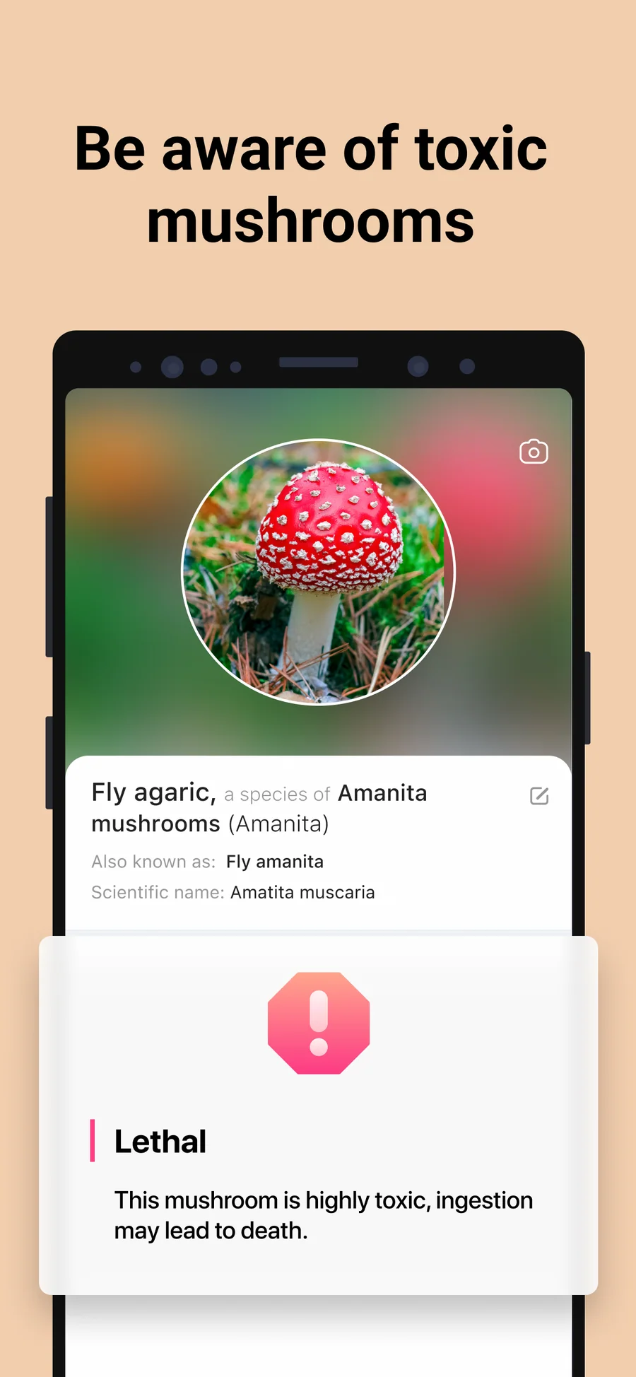 Picture Mushroom: upozornění na jedovatost
