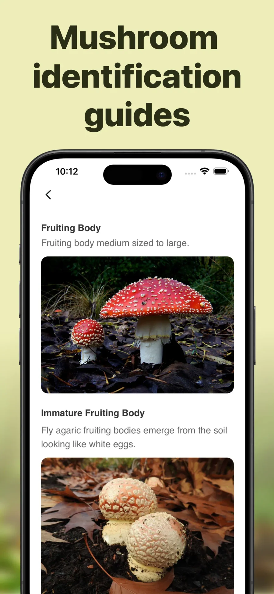 Picture Mushroom: průvodce rozlišovacími znaky