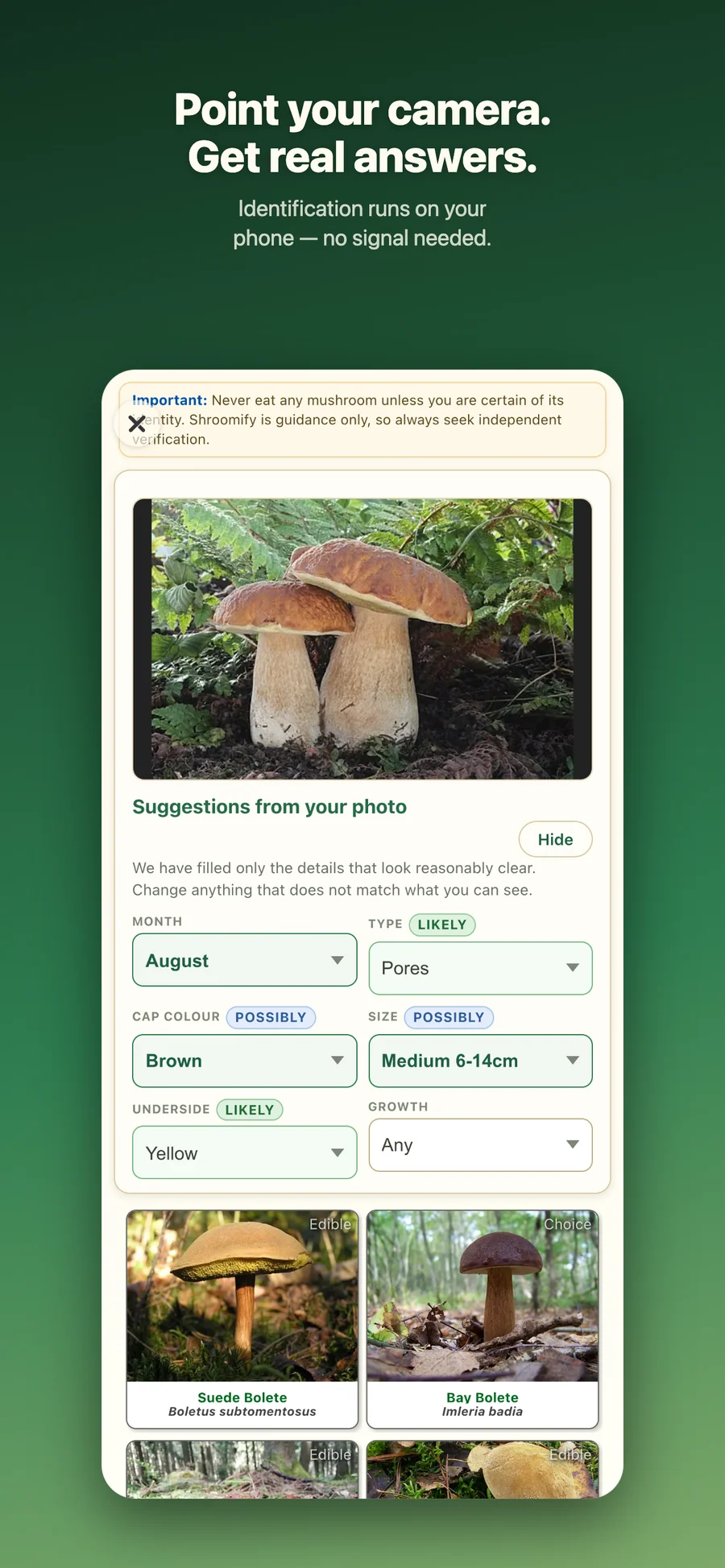Shroomify: návrhy určení z fotografie