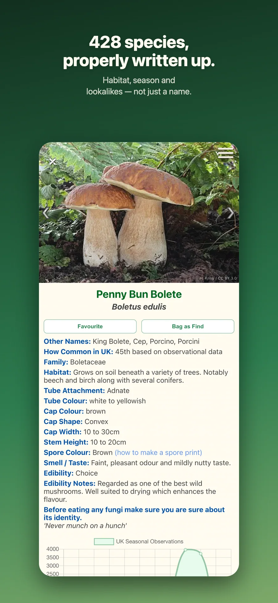 Shroomify: podrobný popis druhu