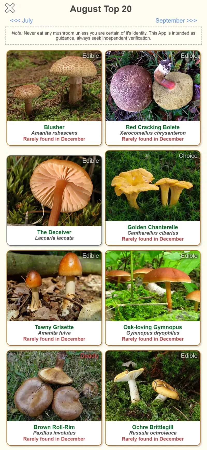 Shroomify: sezónní přehled hub