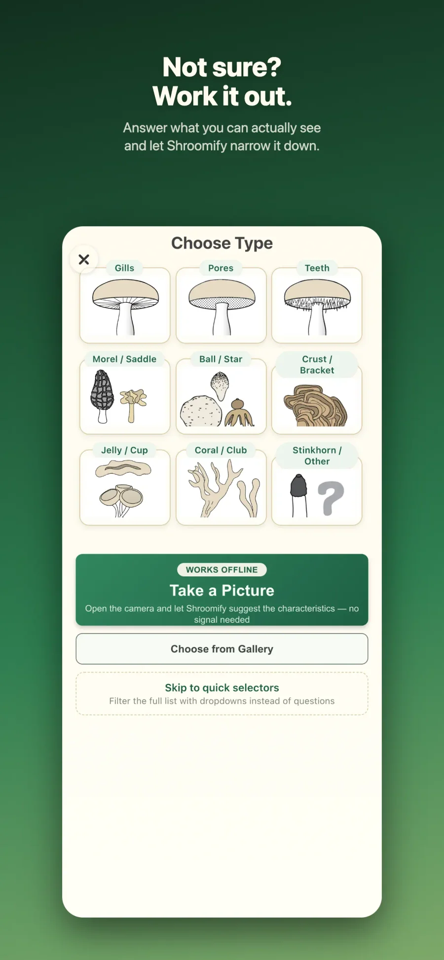Shroomify: určování podle znaků