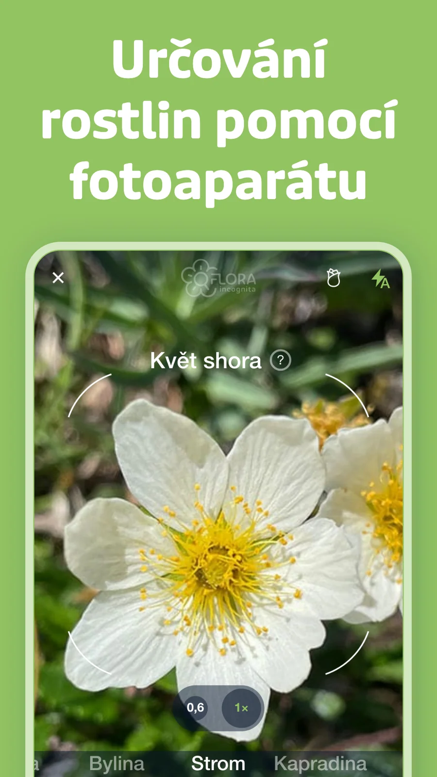 Flora Incognita: fotografování květu