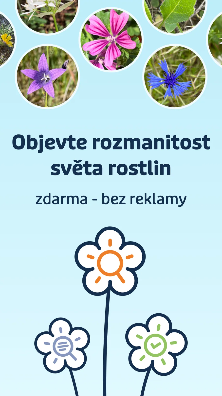 Flora Incognita: objevování rozmanitosti rostlin
