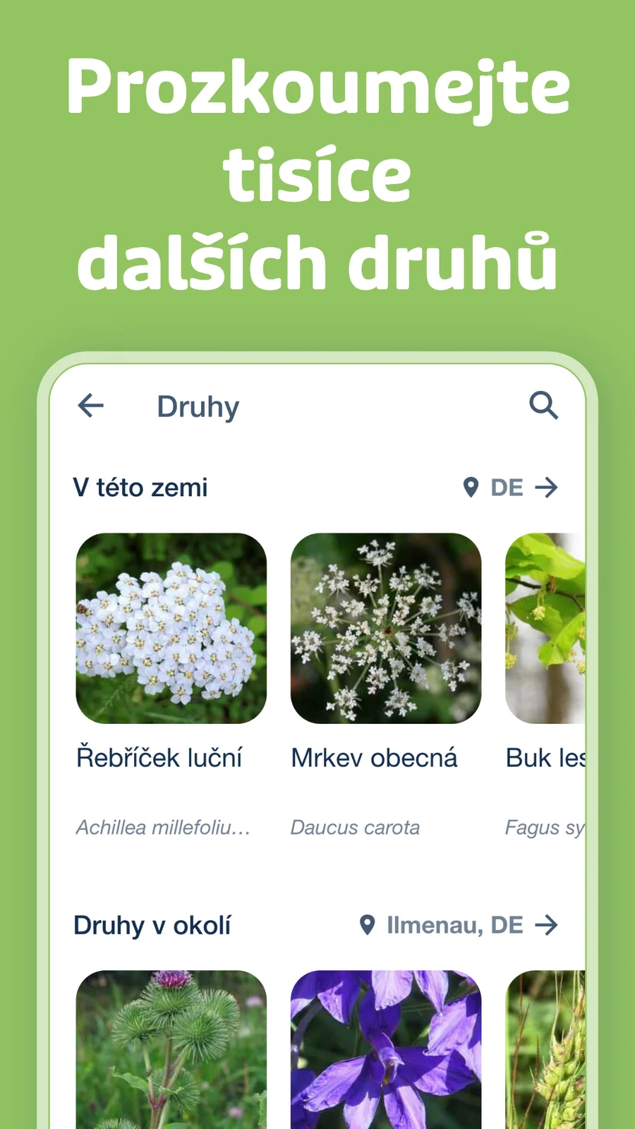 Flora Incognita: procházení druhů v okolí