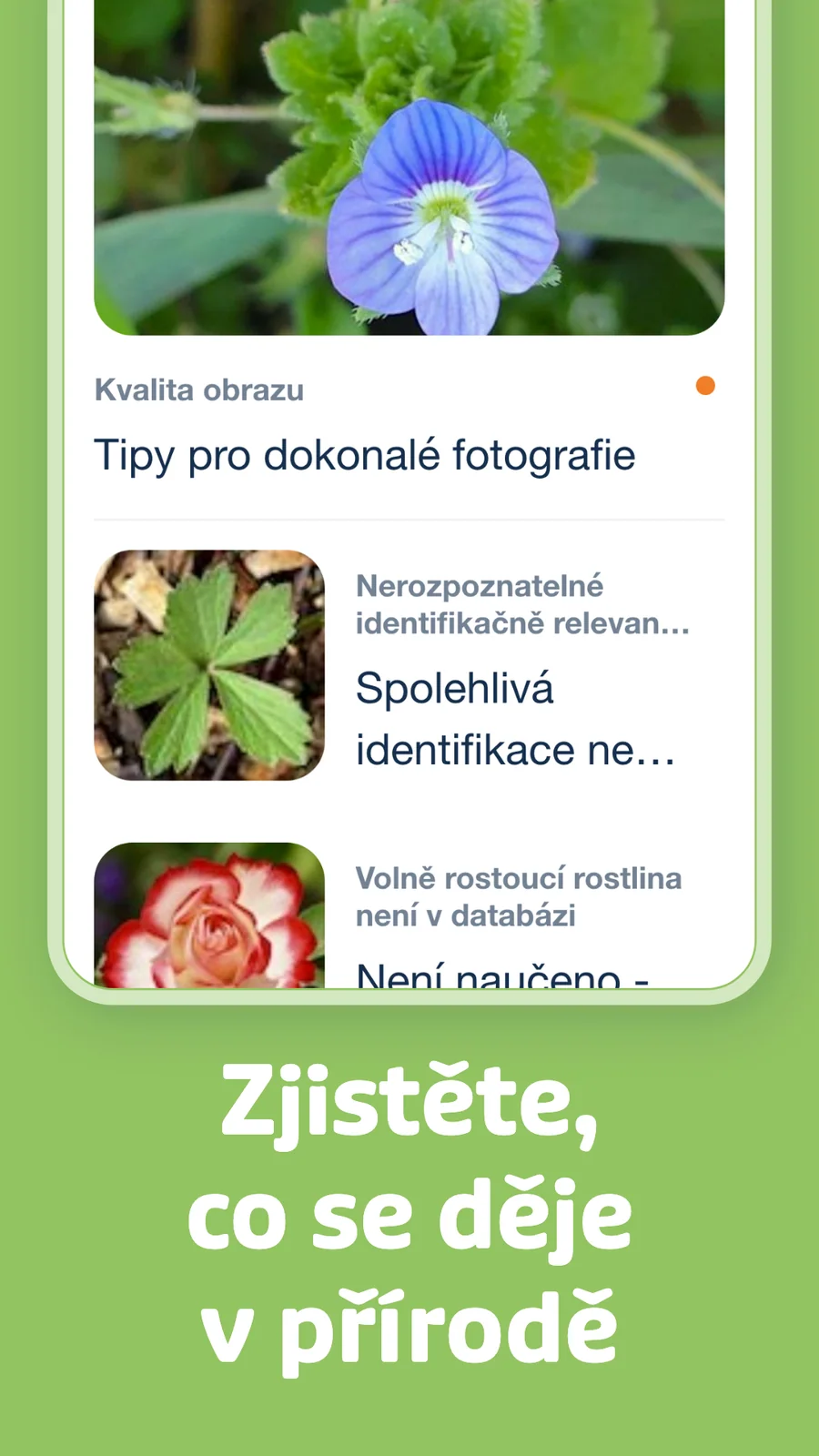 Flora Incognita: tipy pro určování rostlin