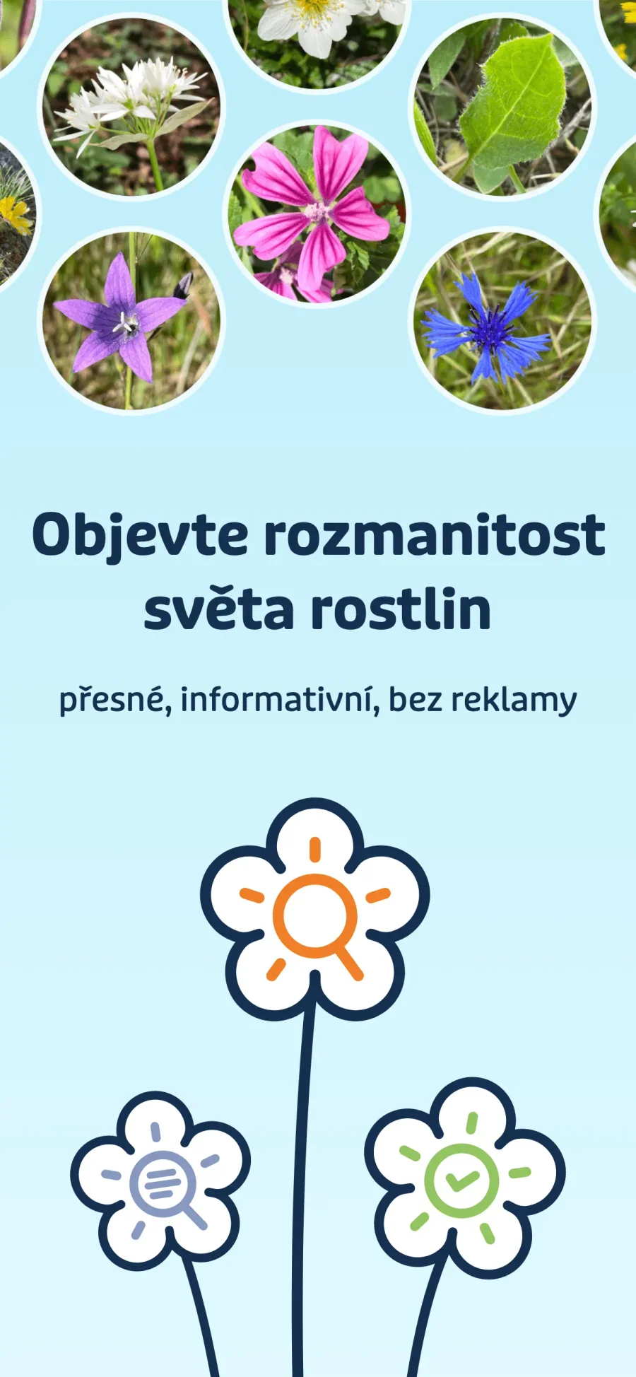 Flora Incognita: objevování rozmanitosti rostlin