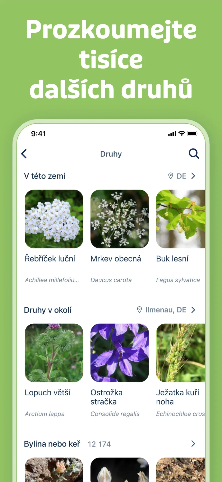 Flora Incognita: procházení druhů v okolí