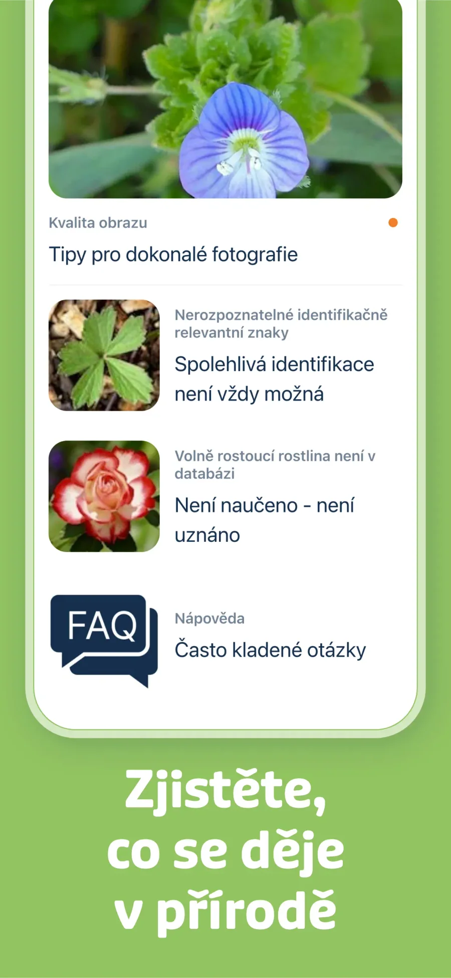 Flora Incognita: tipy pro určování rostlin