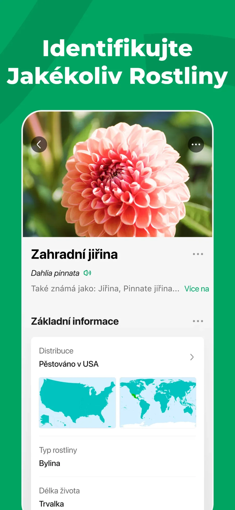 PictureThis: informace o rozpoznané rostlině
