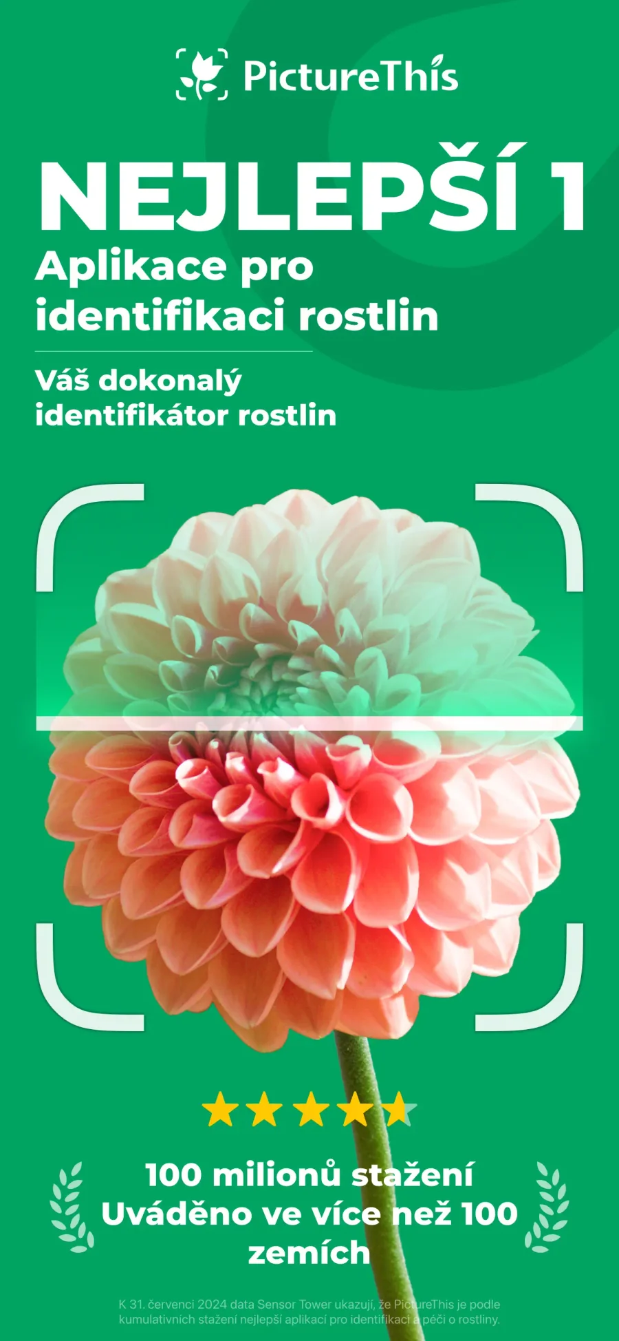 PictureThis: rozpoznání rostliny z fotografie