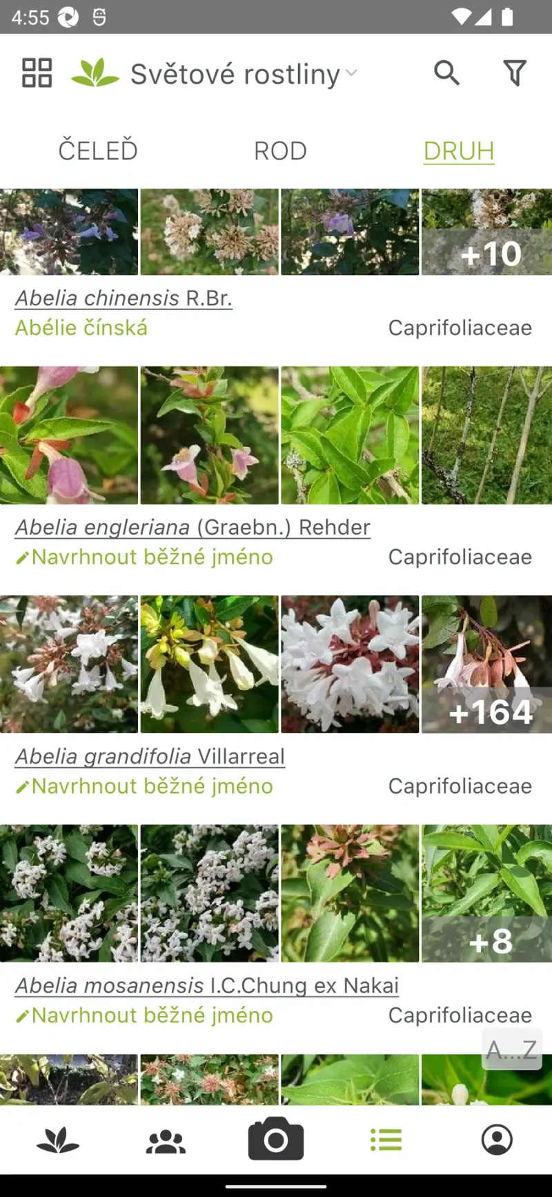 Pl@ntNet: katalog rostlinných druhů