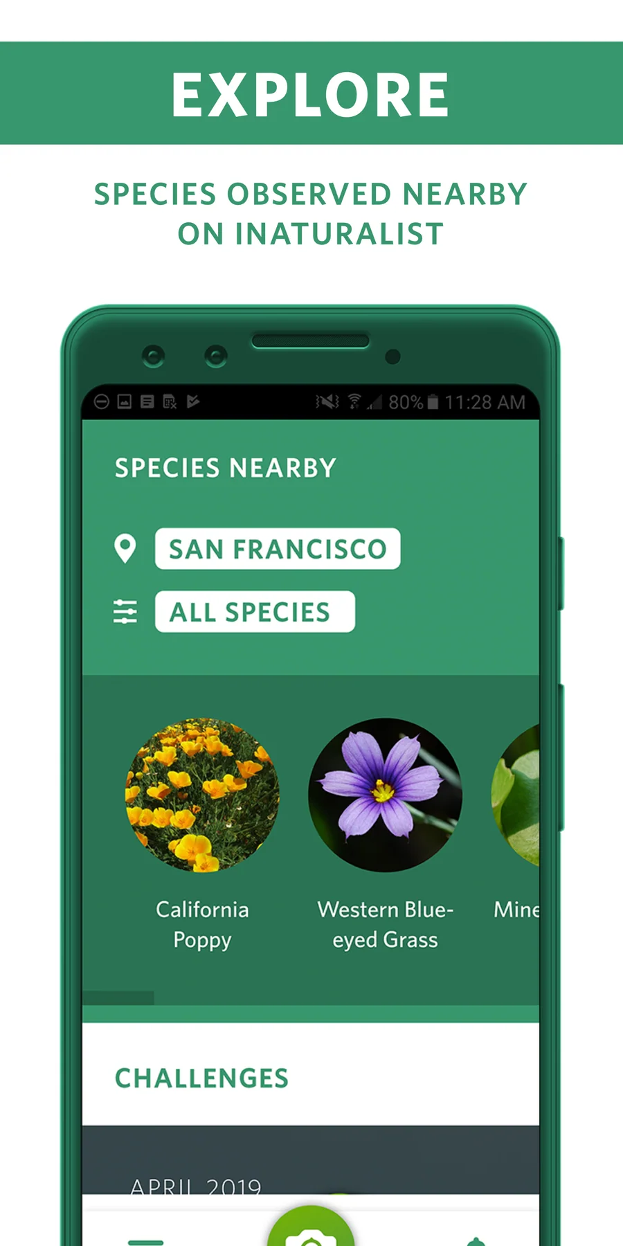 Seek by iNaturalist: druhy v okolí