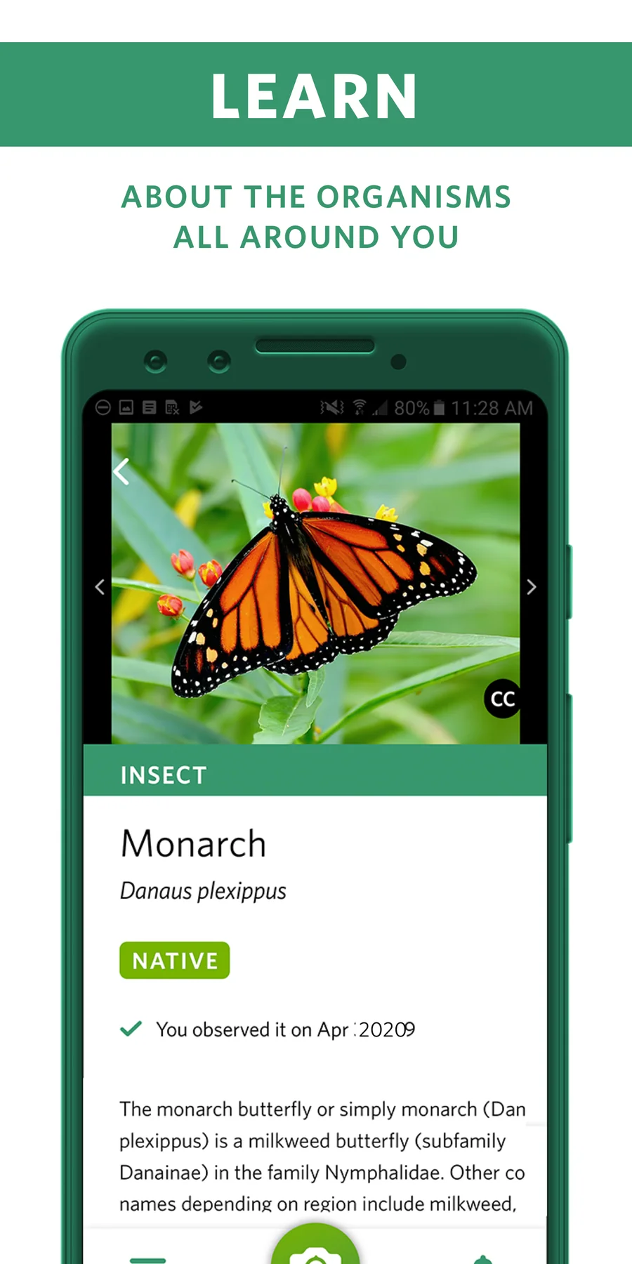 Seek by iNaturalist: informace o rozpoznaném druhu