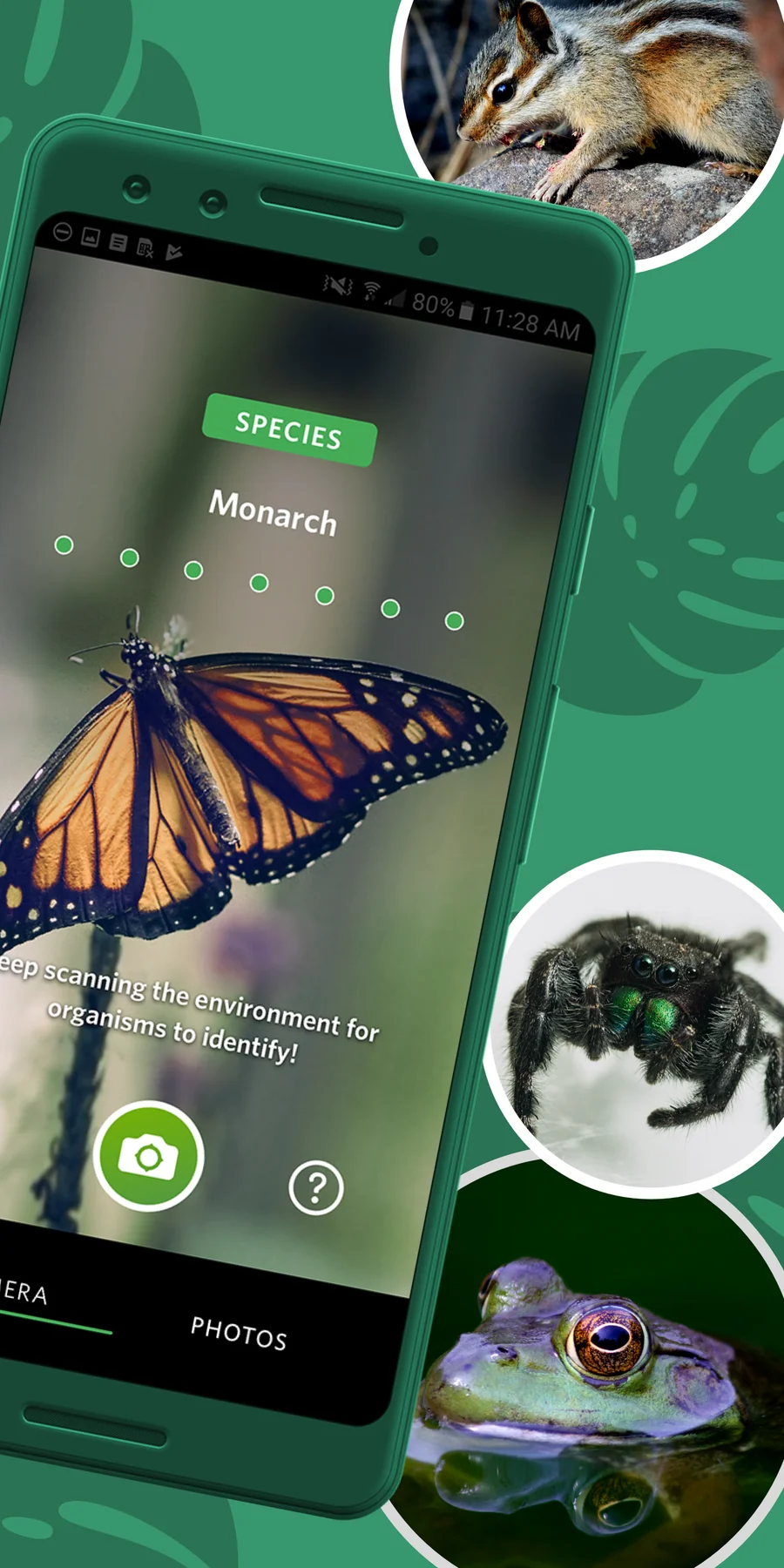 Seek by iNaturalist: rozpoznávání fotoaparátem