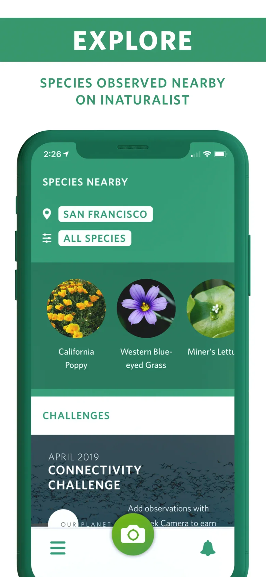 Seek by iNaturalist: druhy v okolí