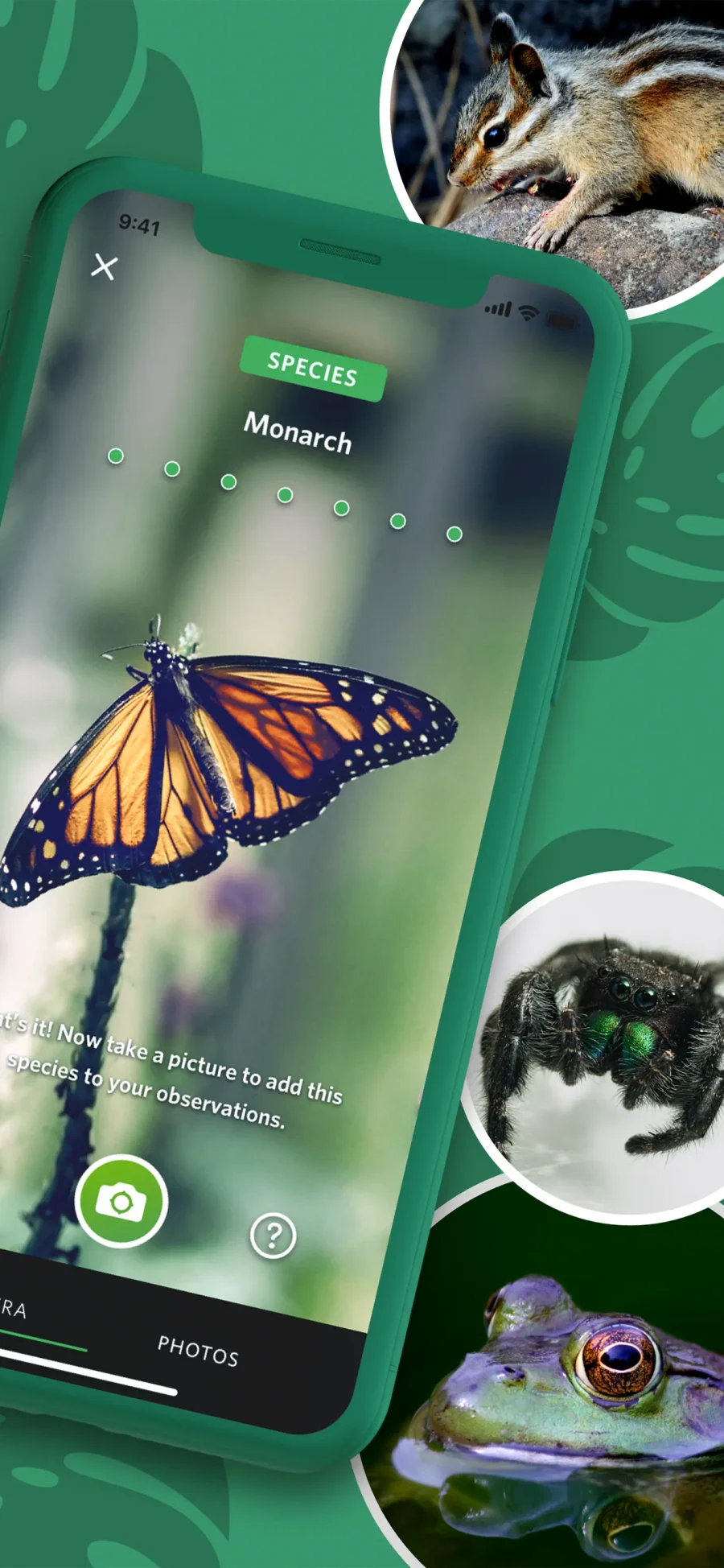 Seek by iNaturalist: rozpoznávání fotoaparátem